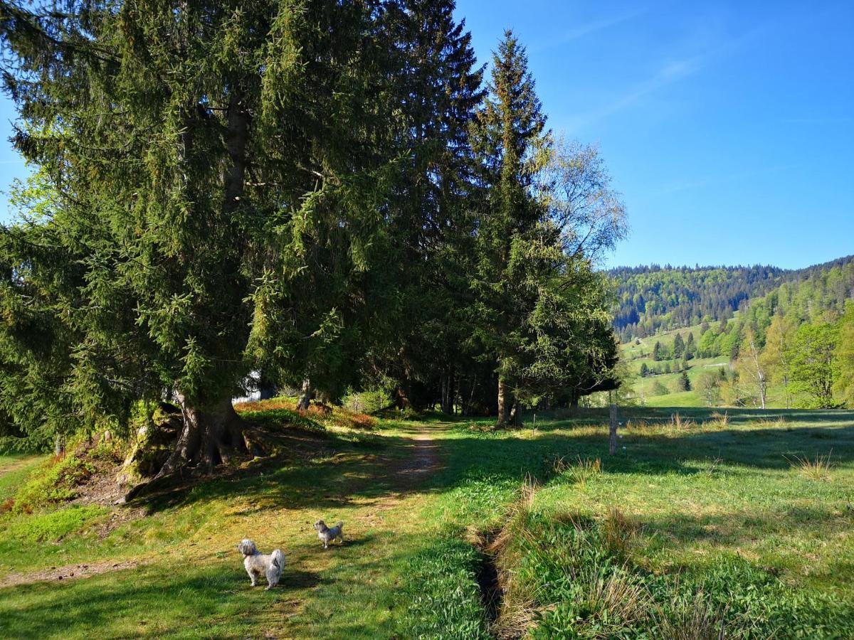 B4 Albmatte Menzenschwand Exterior foto