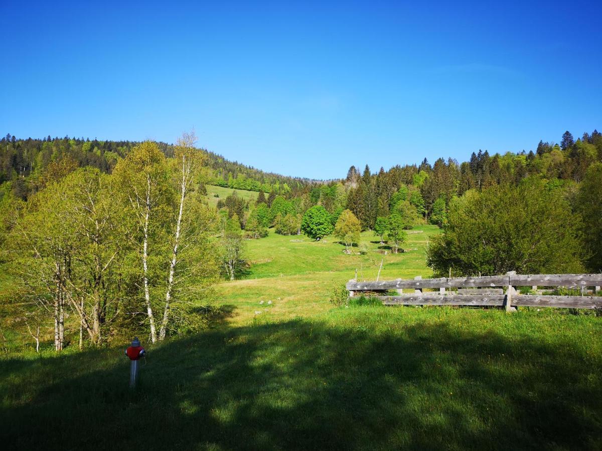B4 Albmatte Menzenschwand Exterior foto