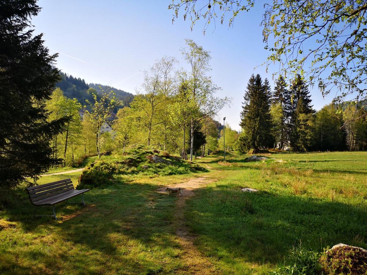 B4 Albmatte Menzenschwand Exterior foto