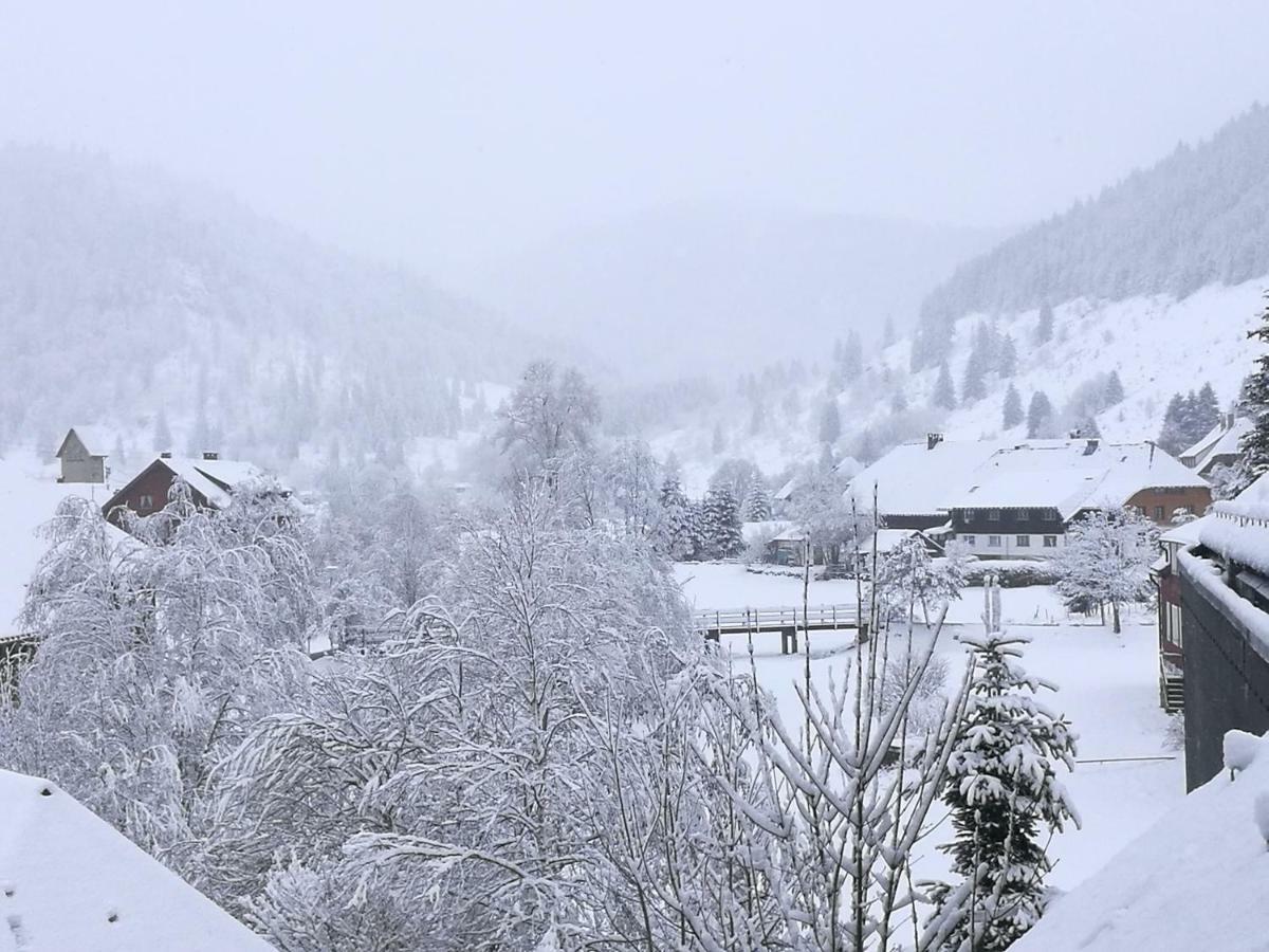 B4 Albmatte Menzenschwand Exterior foto