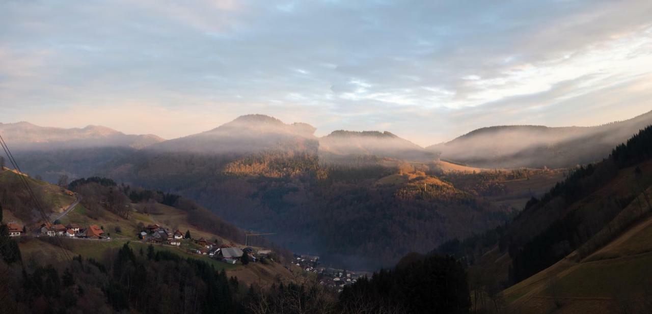 B4 Albmatte Menzenschwand Exterior foto