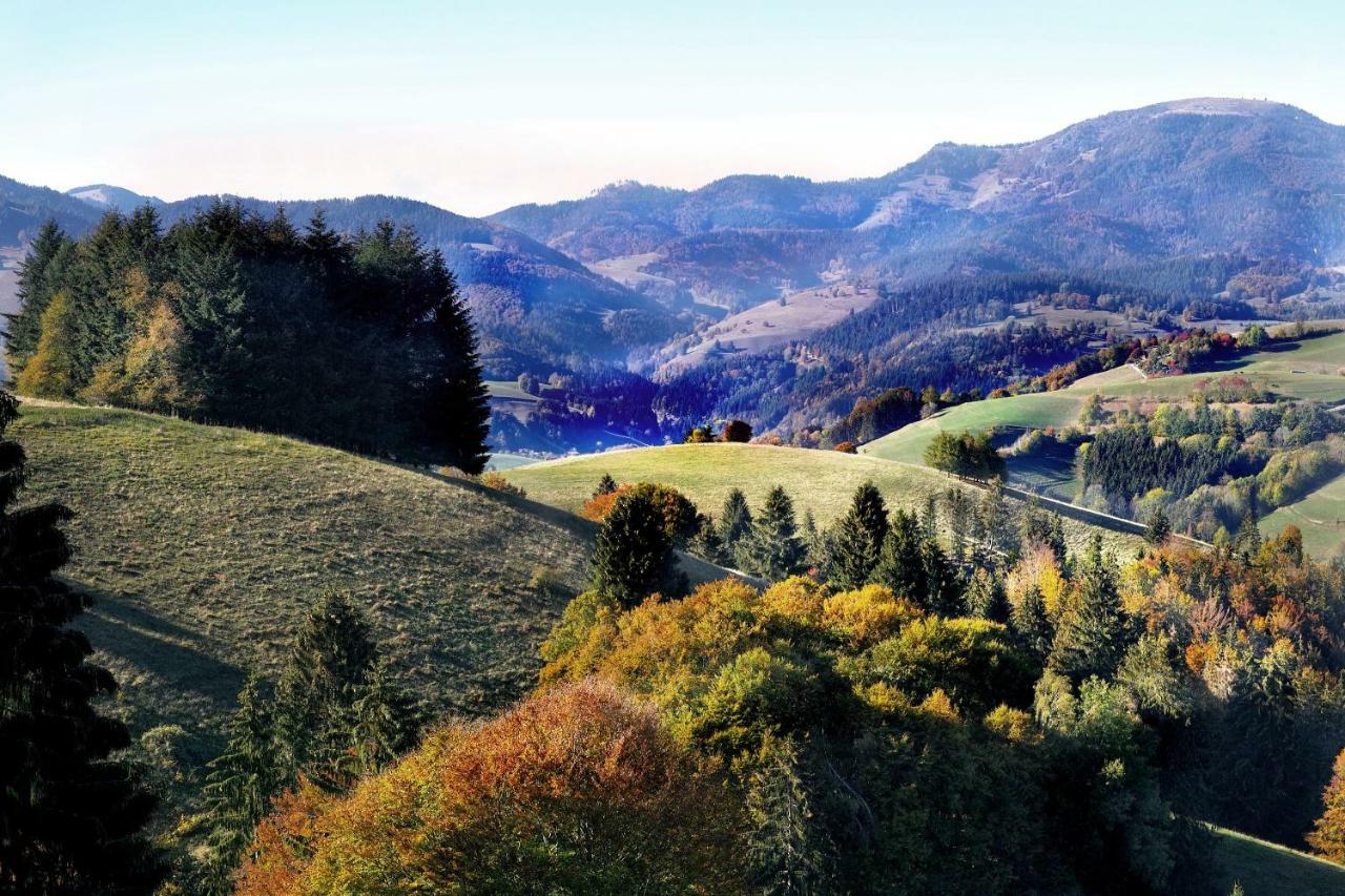 B4 Albmatte Menzenschwand Exterior foto