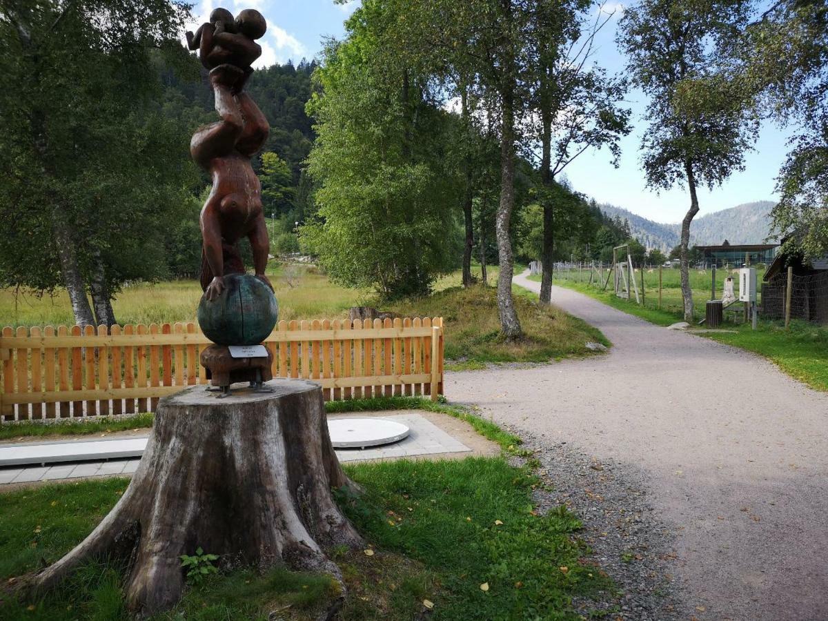 B4 Albmatte Menzenschwand Exterior foto