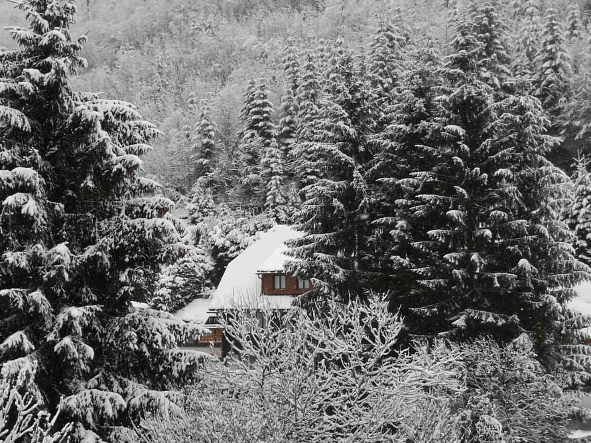 B4 Albmatte Menzenschwand Exterior foto